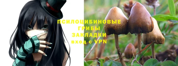 Альфа ПВП Армянск