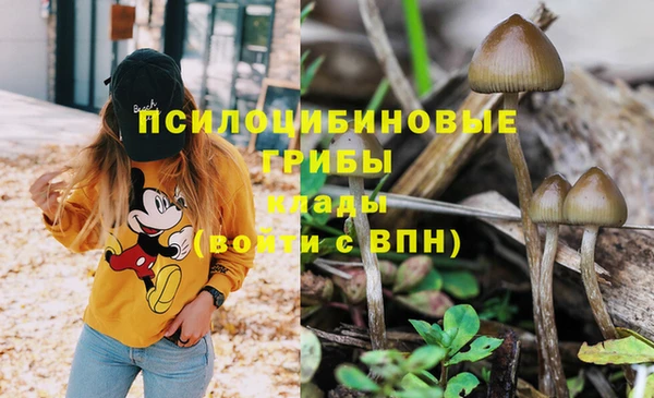 Альфа ПВП Армянск