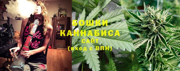 MESCALINE Аркадак
